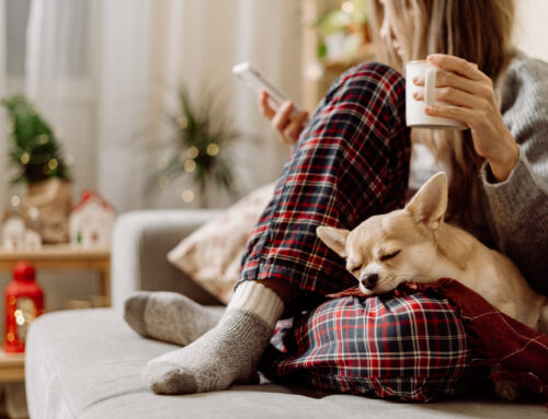 Wieczorna rutyna, która pomaga zasnąć w grudniowe wieczory